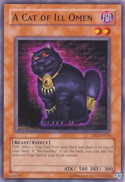 A Cat of Ill Omen [DR1 - EN018] Common - Dark Crystal Cards