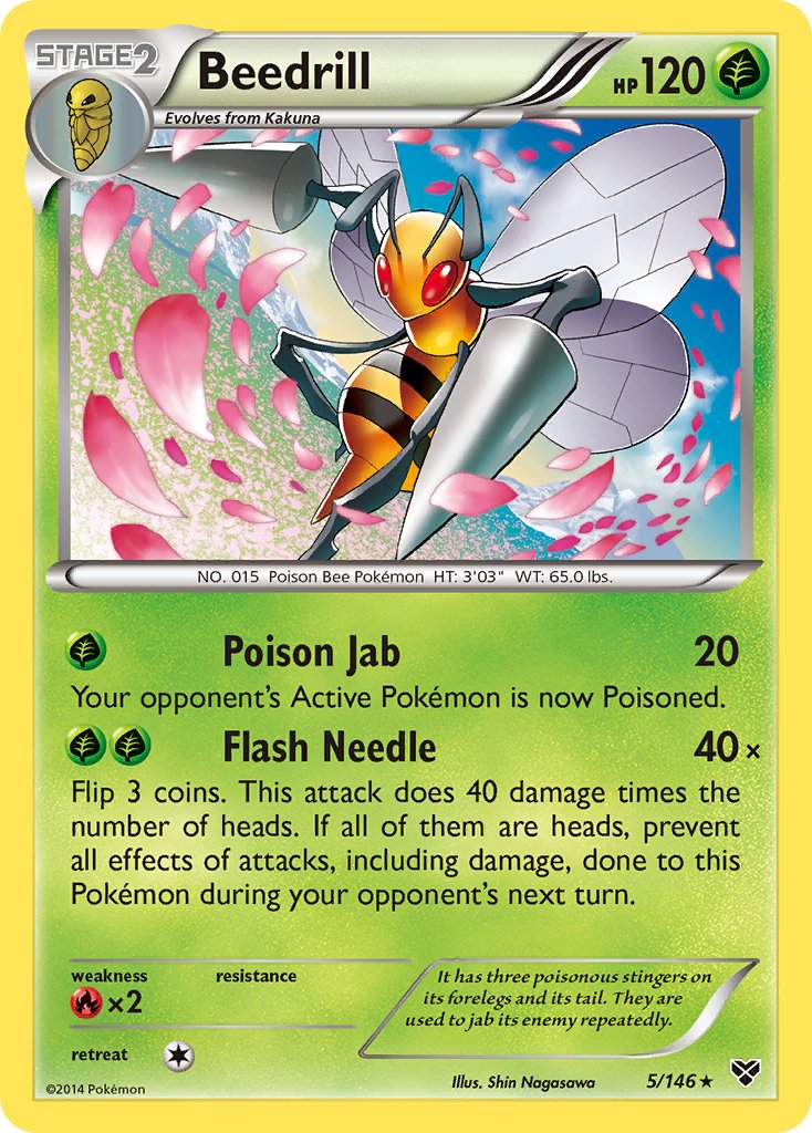 Beedrill (5/146) [XY: Base Set] - Dark Crystal Cards