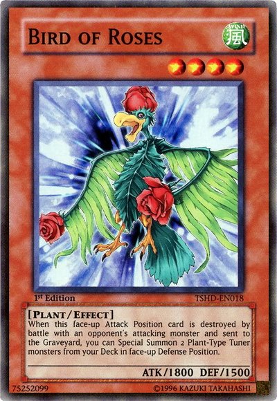 Bird of Roses [TSHD - EN018] Super Rare - Dark Crystal Cards